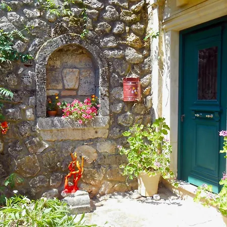 Polytropon Apartamento *