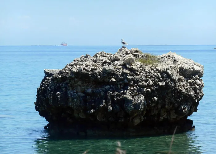 Polytropon Apartamento