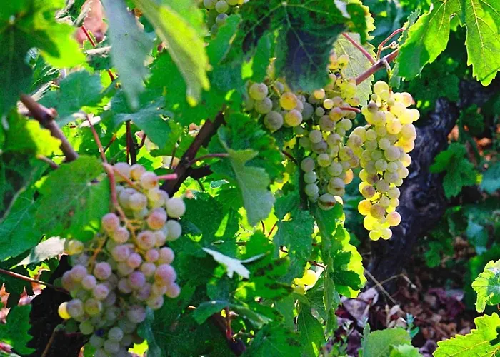 Apartamento Polytropon *